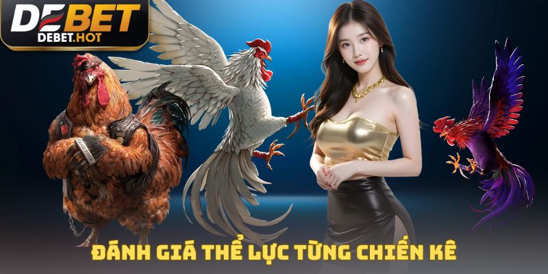 Đánh giá thể lực chiến kê trong trận đá gà trực tuyến