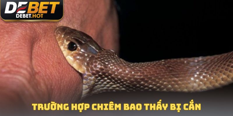 Trường hợp chiêm bao thấy bị cắn