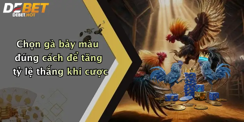 Chọn gà bảy màu đúng cách để tăng tỷ lệ thắng khi cược